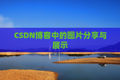 CSDN博客中的图片分享与展示